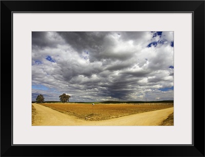 Road in the countryside