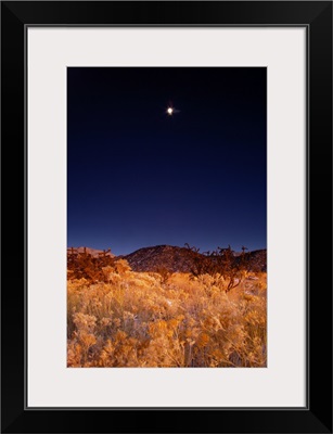 Sandia mountains desert twilight landscape moon rise, New Mexico