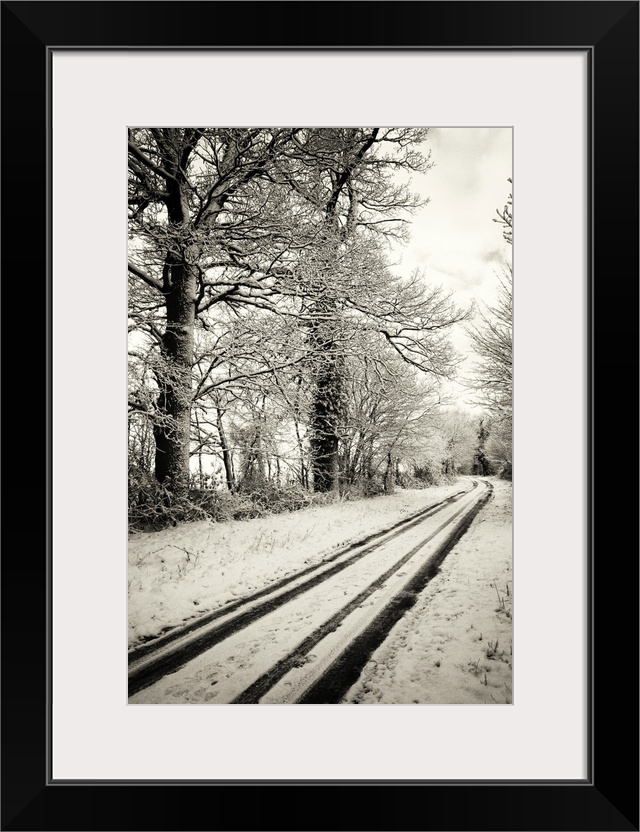 Wintry lane in Suffolk, England.