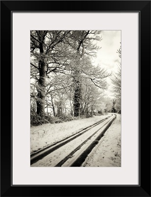 Snowy Landscape