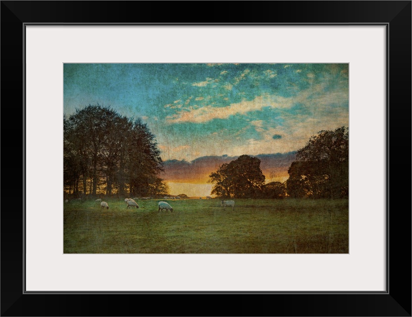 Rural countride view across agricultural land at dusk in East Sussex, England with sheep grazing in a field at dusk.