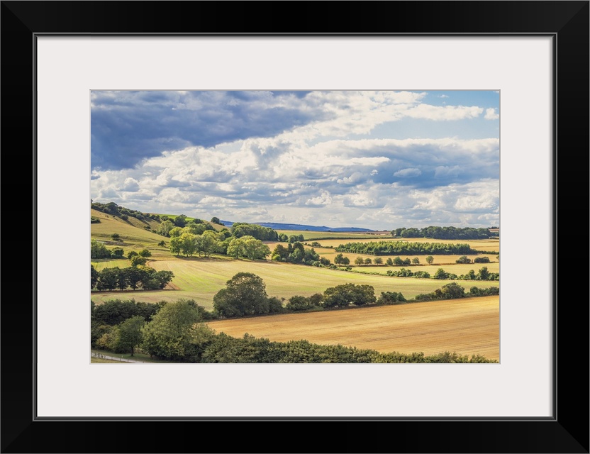 large fields on the South Downs in Sussex, England, UK on a summers evening during harvest.