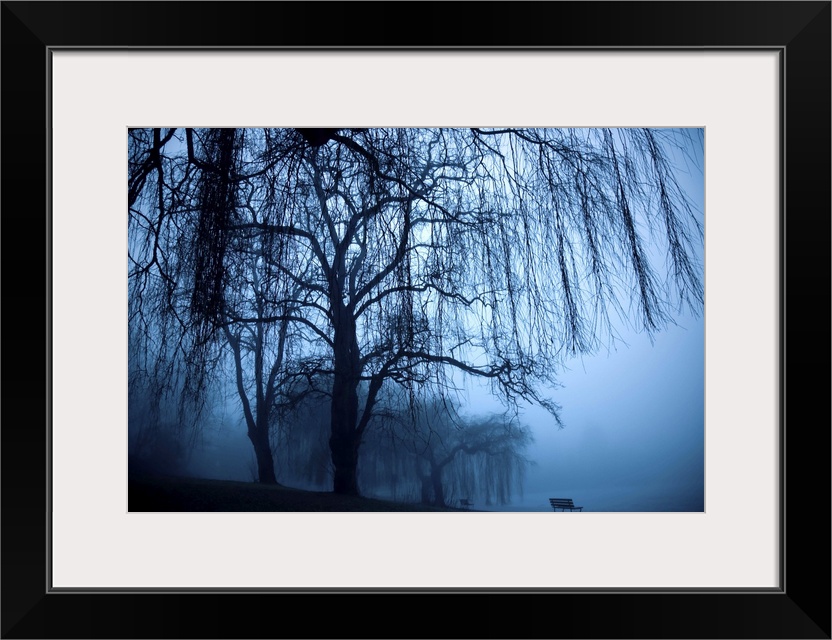 Two benched and weeping willow trees in the fog at Lost Lagoon.