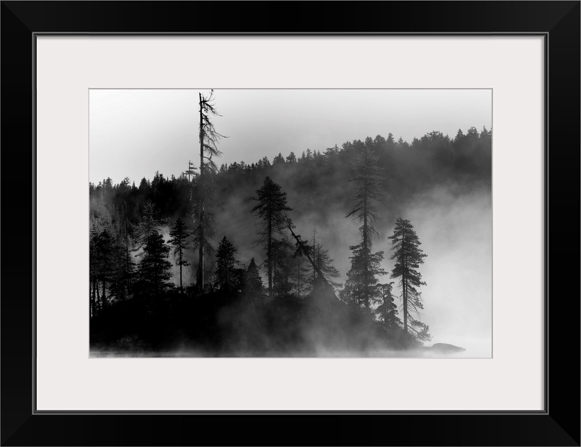 A small island of trees on a lake covered in mist.