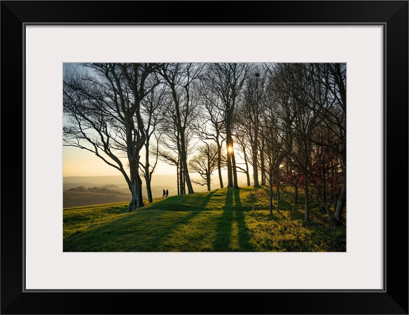 The winter sun setting behind trees at Chanctonbury Ring on the South Downs in west Sussex, England.