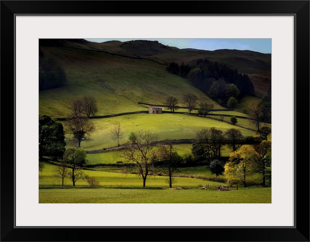 Rolling fields in the Yorkshire dales with stone walling and a barn