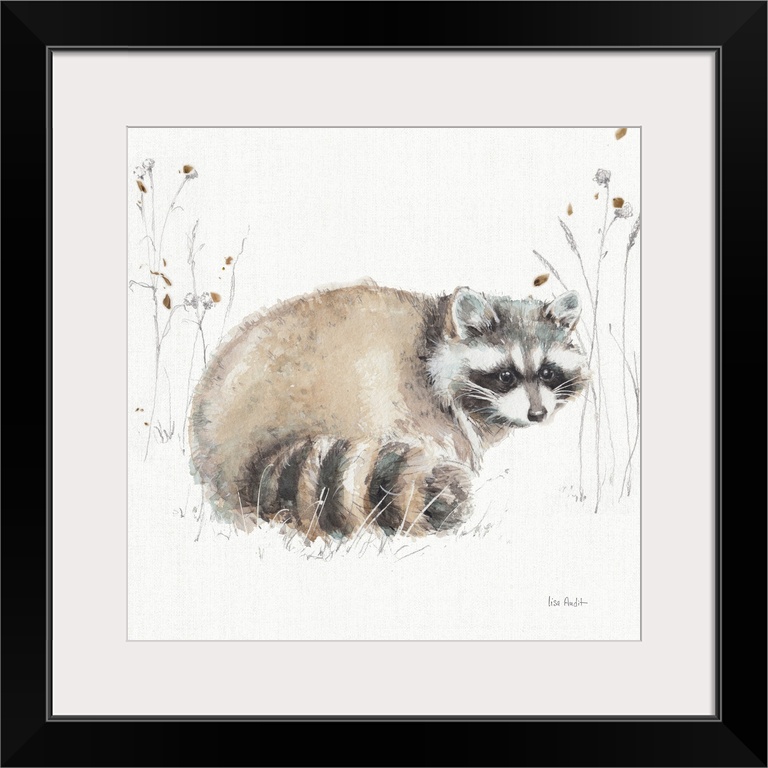 Decorative artwork of a watercolor raccoon perched on a branch against a white background.