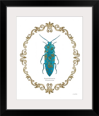 Adorning Coleoptera VIII