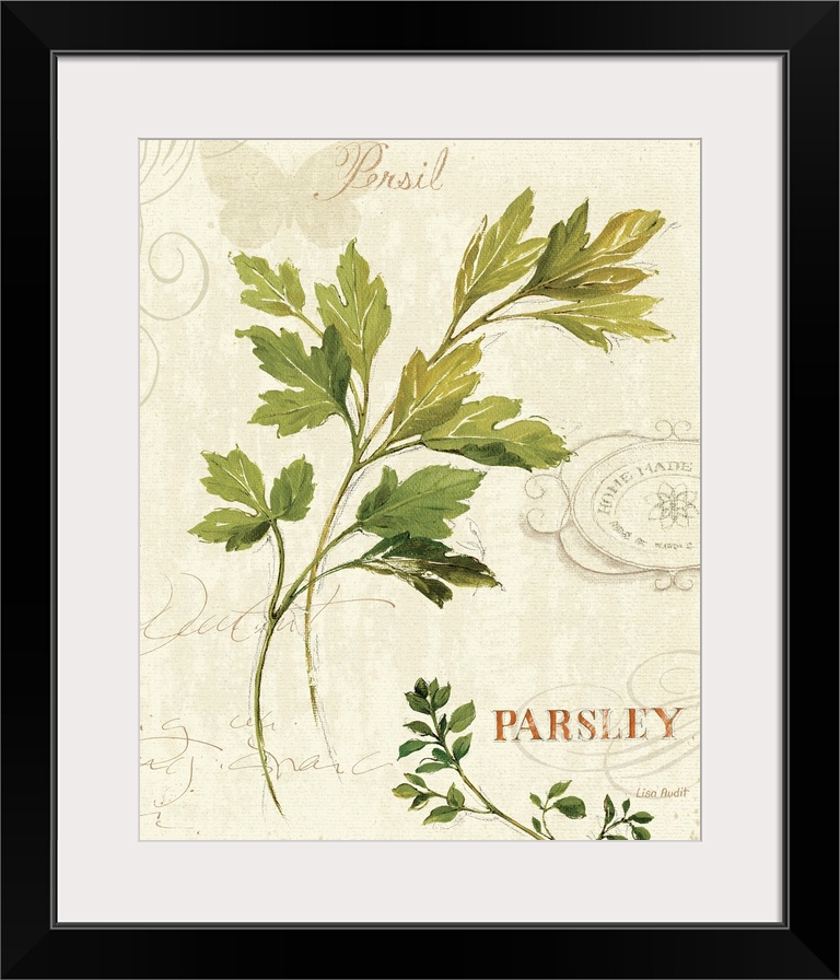 Illustration of parsley leaves.