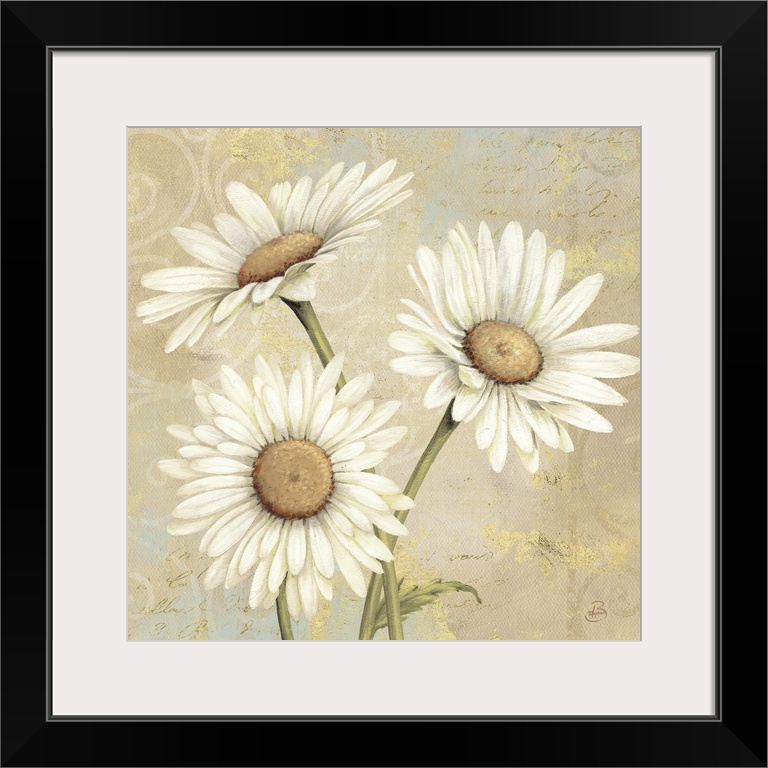 Three flowers on a decorative background with hand written text and curling embellishments.