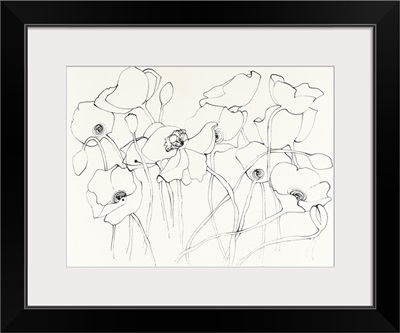 Black Line Poppies III