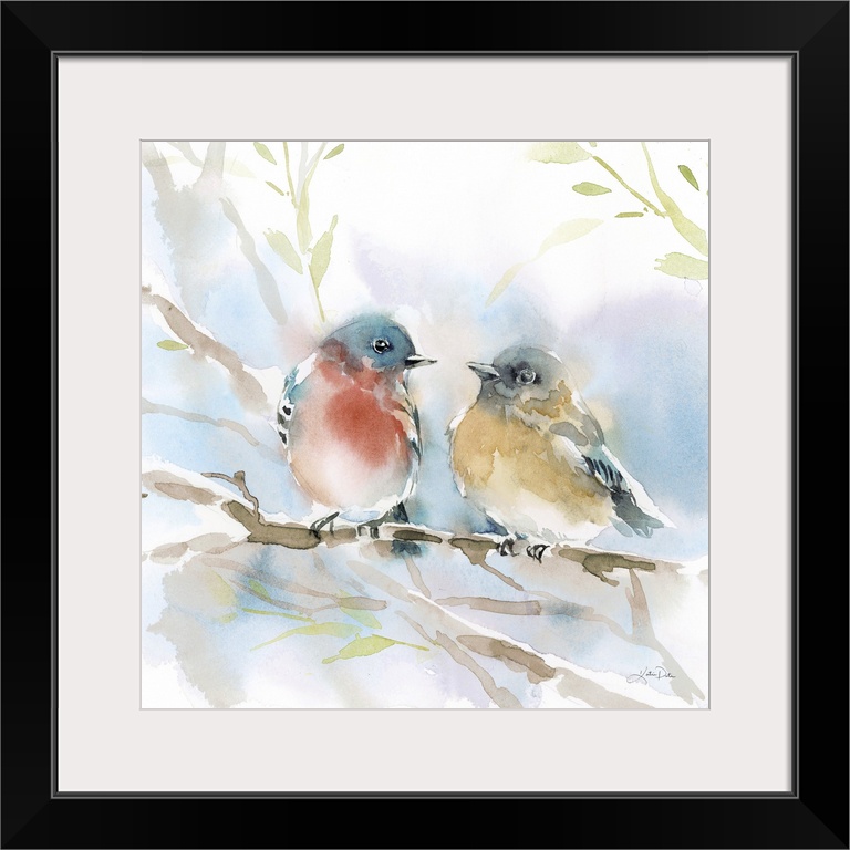 Bluebird Pair In Spring