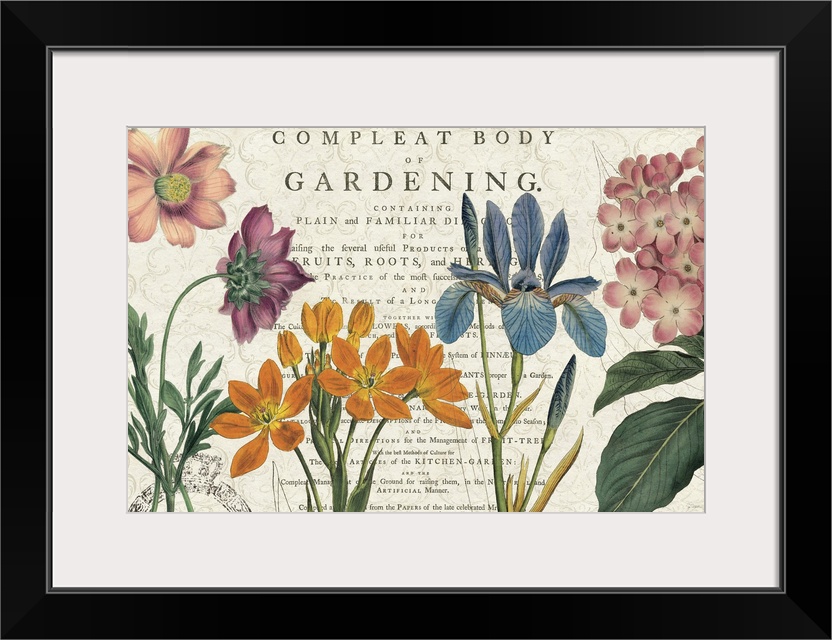 Botanical illustrations against a weathered background with text.