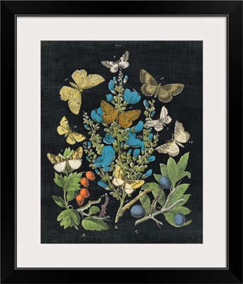 Butterfly Bouquet on Black II
