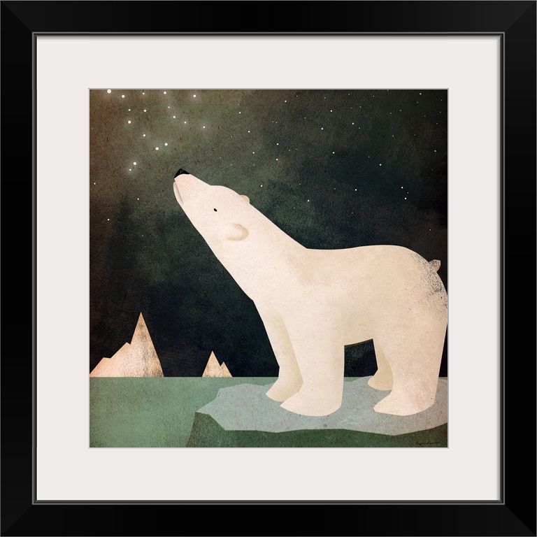A polar bear on an ice floe looking up at stars in the sky.