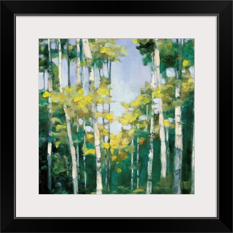 Contemporary artwork of a forest of birch trees with green leaves.