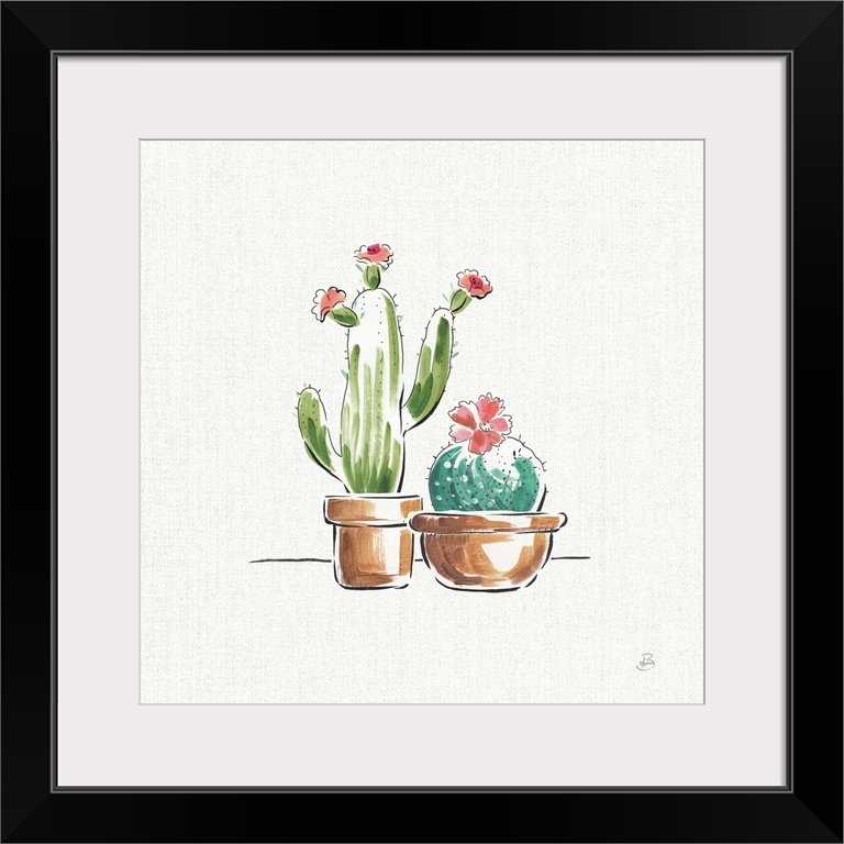 Illustration of two potted cacti with pink flowers on a white and gray square background.