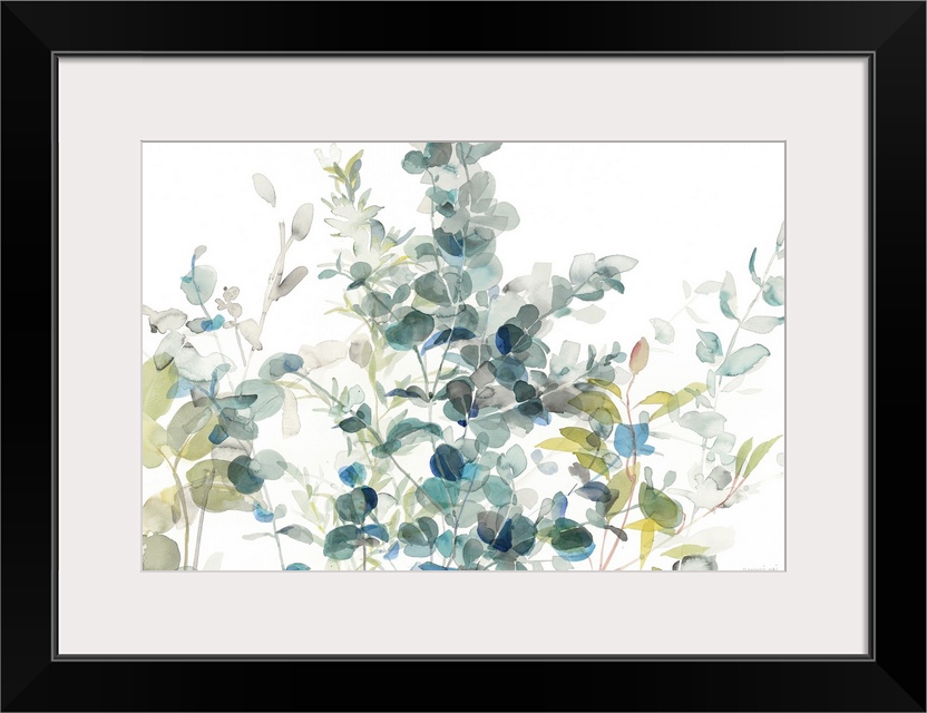 Large watercolor painting of eucalyptus leaves in shades of blue, gray, and green on a white background.