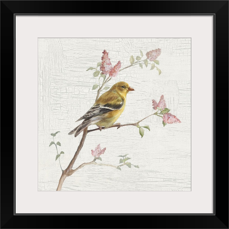 Square vintage illustration of a female Goldfinch perched on a branch with flowers on a texture white and gray background.