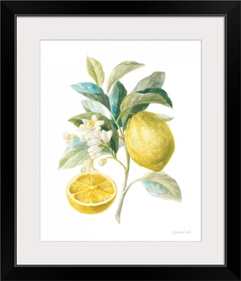 Floursack Lemon III on White