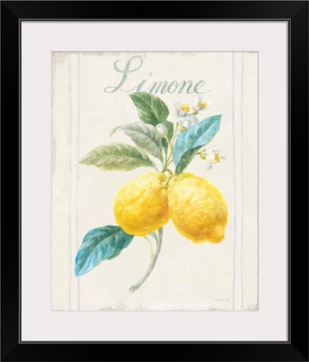 Floursack Lemon III v2