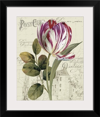 Garden View II - Tulip