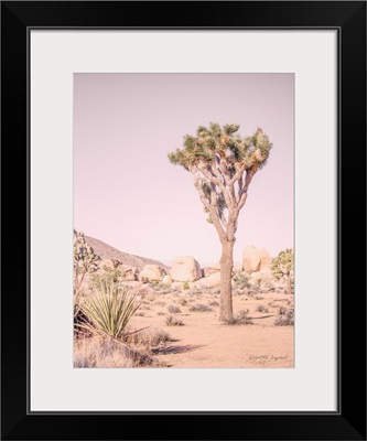 Joshua Tree III Blush Crop