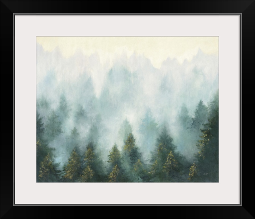 Misty Forest