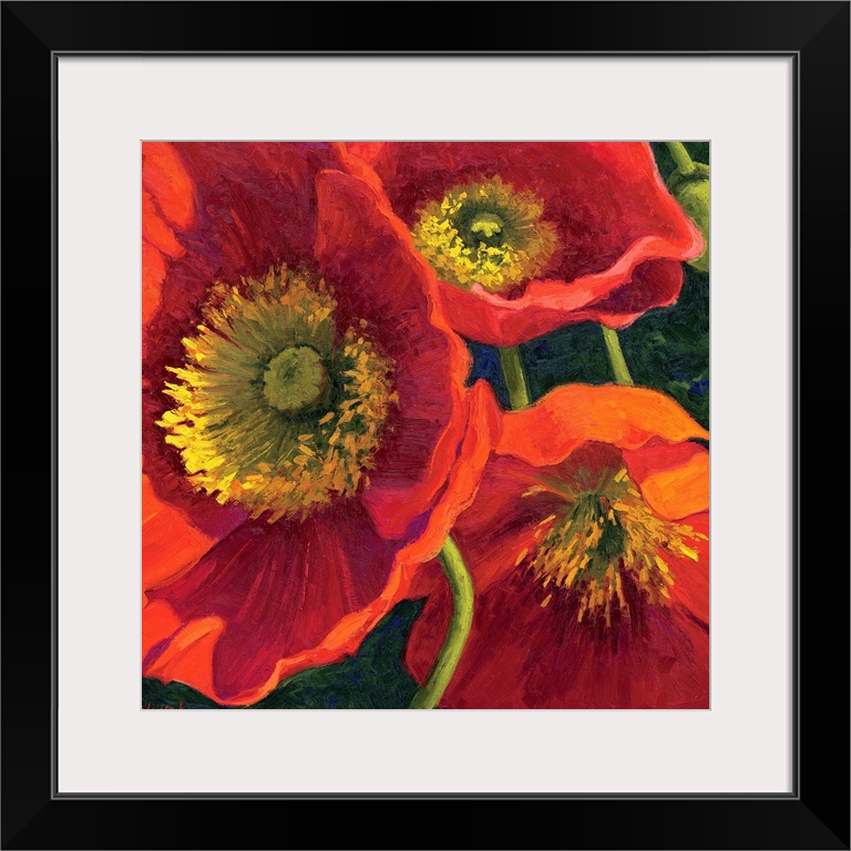 Painting of three poppy flowers up close in the sun.