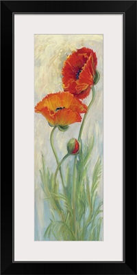 Rembrandt Poppies