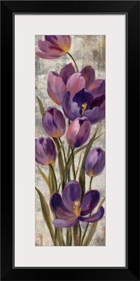 Royal Purple Tulips I Crop