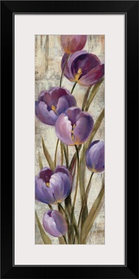 Royal Purple Tulips II Crop