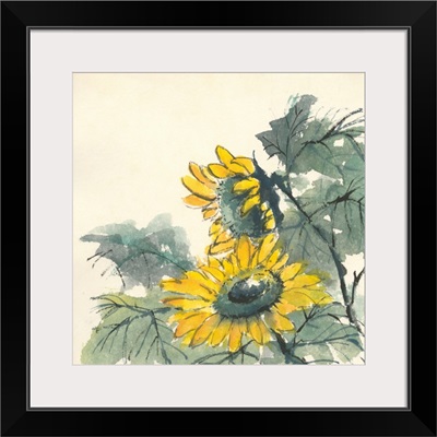Sunflower II