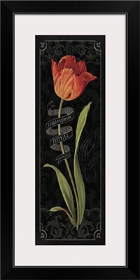 Tulipa Botanica II