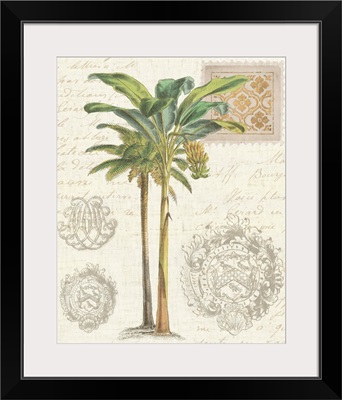 Vintage Palm Study I