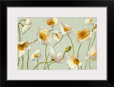 White and Bright Poppies