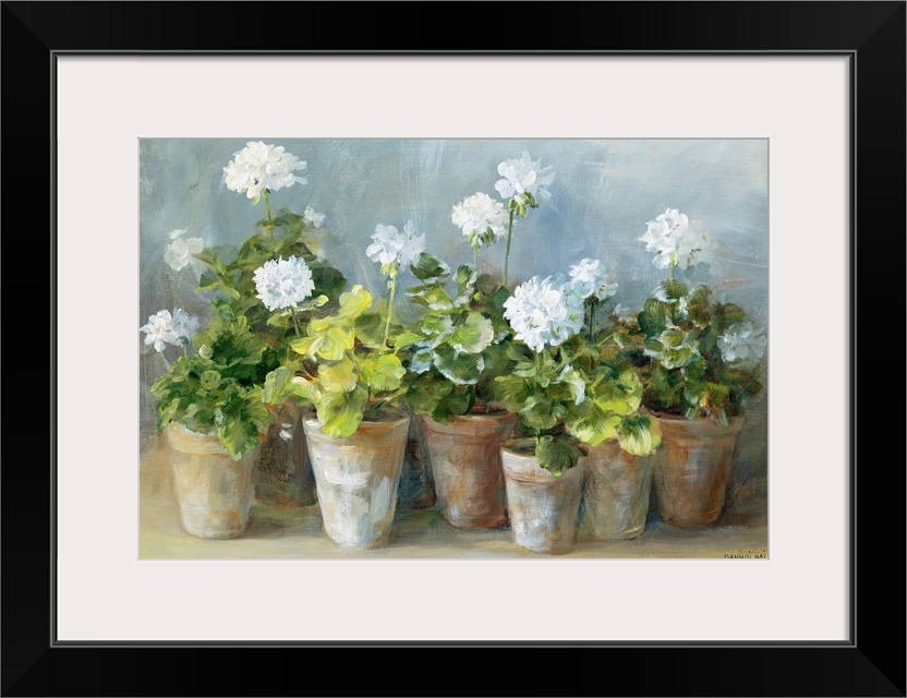 White Geraniums