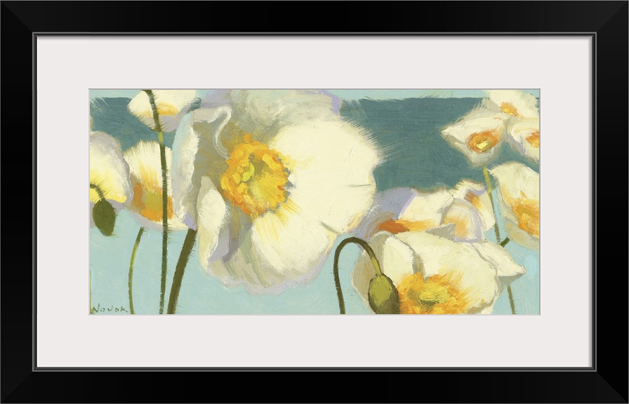 Horizontal, contemporary painting of large white Iceland flowers with golden centers, extending upward. The background is ...
