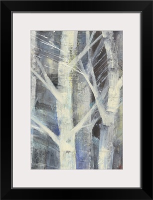 Winter Birches II