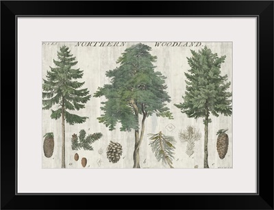 Woodland Chart I