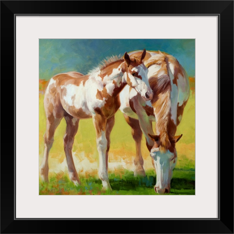 A Paint mare and her foal grazing in a field in soft light.