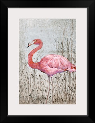American Flamingo II