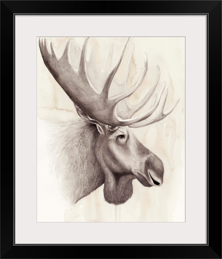 Contemporary illustration of a moose head against a tan background.