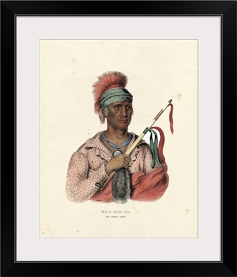 An Ioway Chief