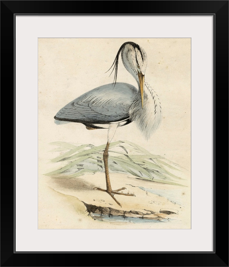 Antique Heron IV