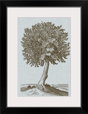 Antique Tree in Sepia I