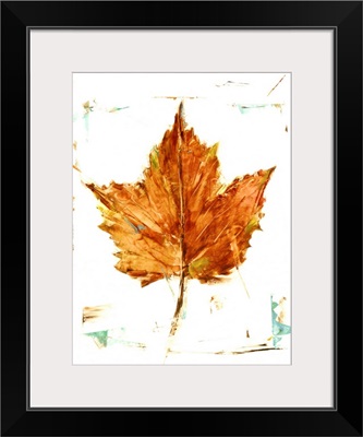 Autumn Leaf Study I