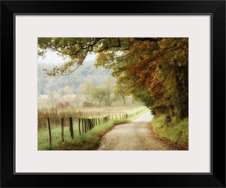 Autumn on a Country Road