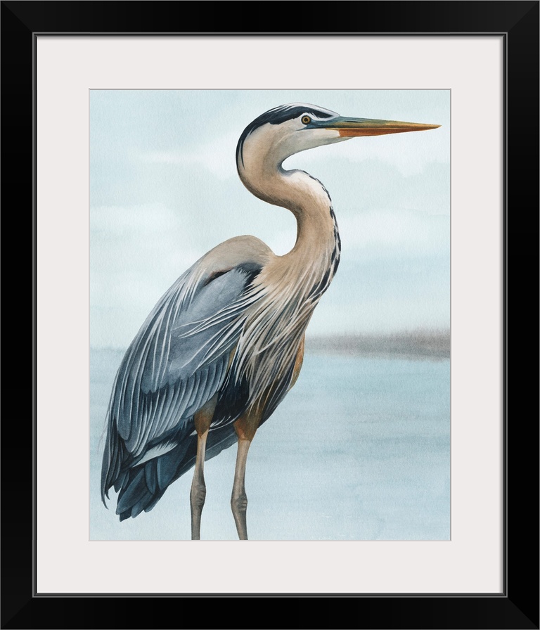 Back Bay Heron I