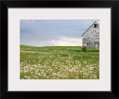 Barn Scape II